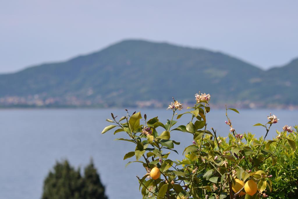 Aparthotel Castello Oldofredi Monte Isola Esterno foto